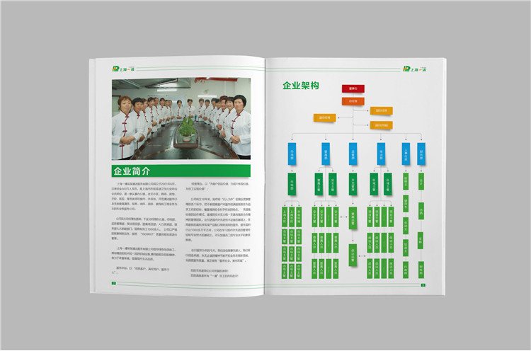 企業(yè)宣傳畫(huà)冊(cè)設(shè)計(jì)案例,上海企業(yè)宣傳冊(cè)設(shè)計(jì)制作,上海宣傳畫(huà)冊(cè)設(shè)計(jì)公司