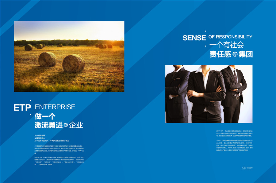 地產(chǎn)畫冊設(shè)計案例,集團畫冊設(shè)計案例,豐大國際地產(chǎn)集團畫冊設(shè)計